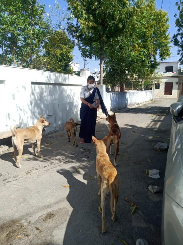 Covid - 19 Help Chitorgarh