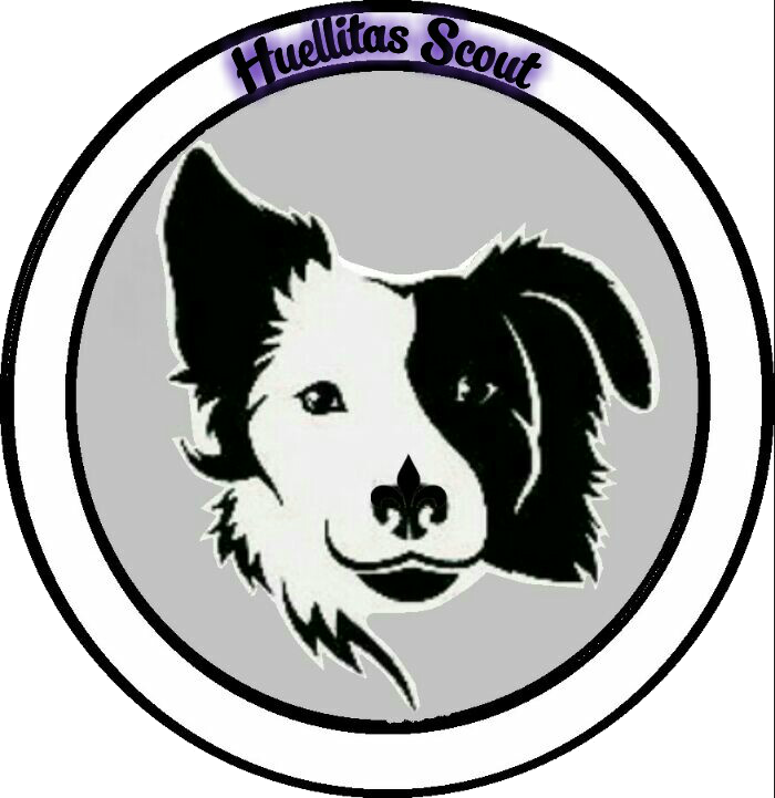 Huellitas Scout