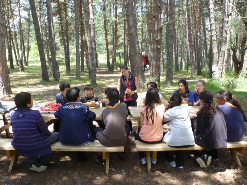 NUTRITION CHALLENGE BADGE FAO – WAGGGS – WHO – WOSM