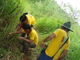 BRIGHTON IN ACTION!  (TREE PLANTING)