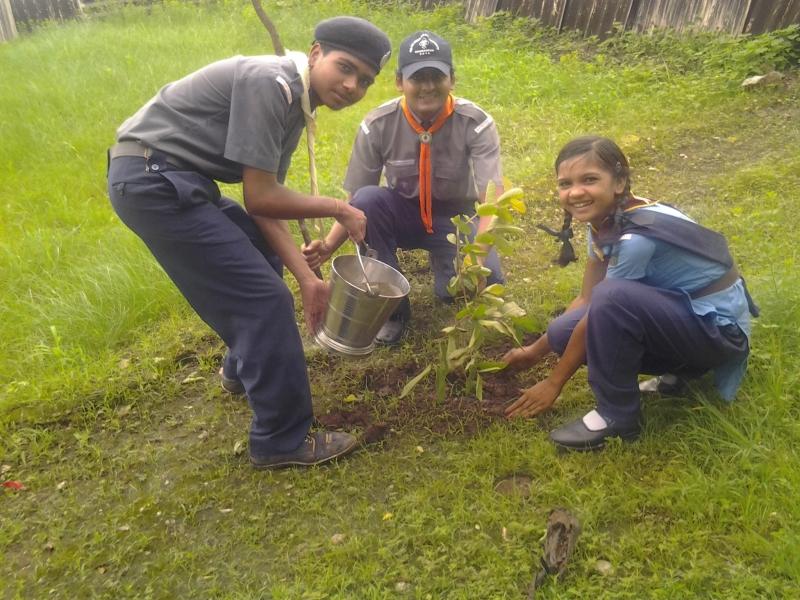 Tree Plantation on INDEPENDENCE DAY