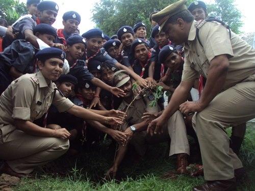 Tree Plantation
