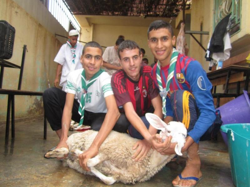 توزيع اضاحي العيد على الفقراء والمساكين ( فوج الشعلة - بسكرة - الجزائر )