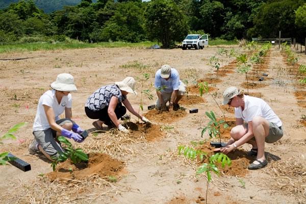 Planting many kinds of Trees  in  Cagayan de Oro , Philippines  to avoid flashfloods