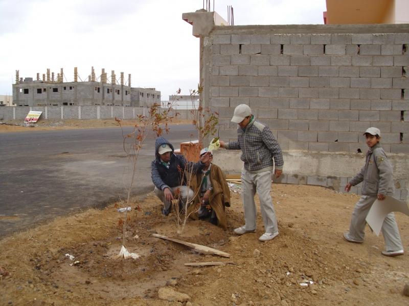 خدمة البيئة 