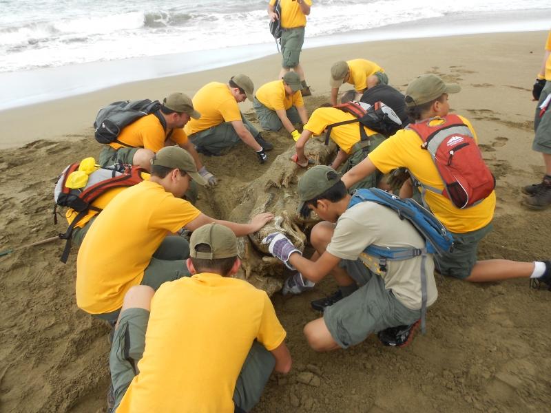 Primera Limpieza Playa El Unico
