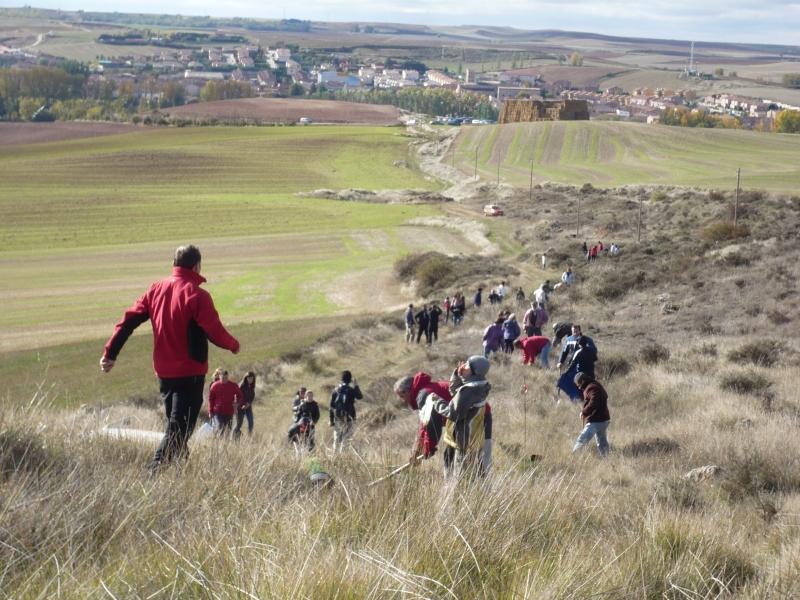"Proyecto Terruño". Si supiera que el mundo se acaba mañana, yo, hoy todavía, plantaría un árbol.