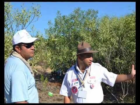 We plant a greener Tunisia