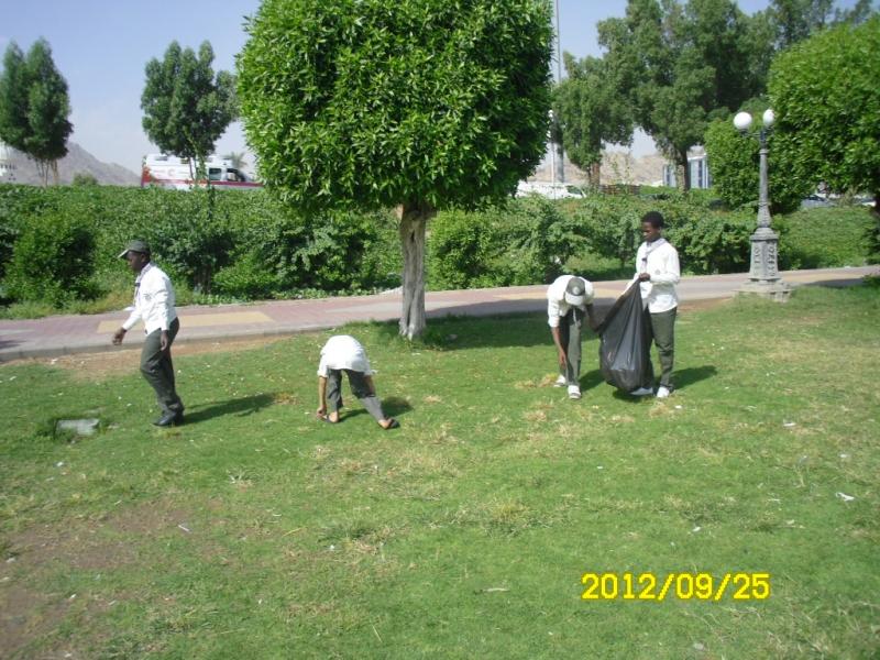 حماية البيئة 