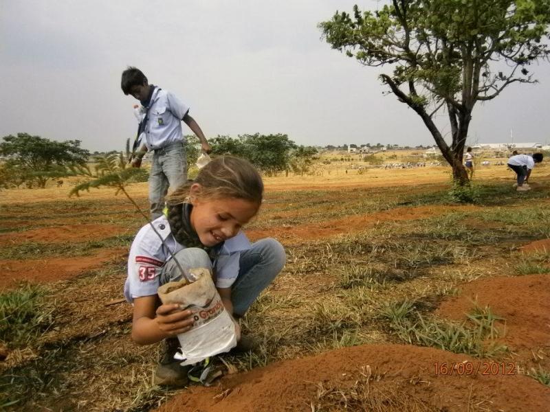 Planting one hundred thousand seedlings of fruit trees in the Park