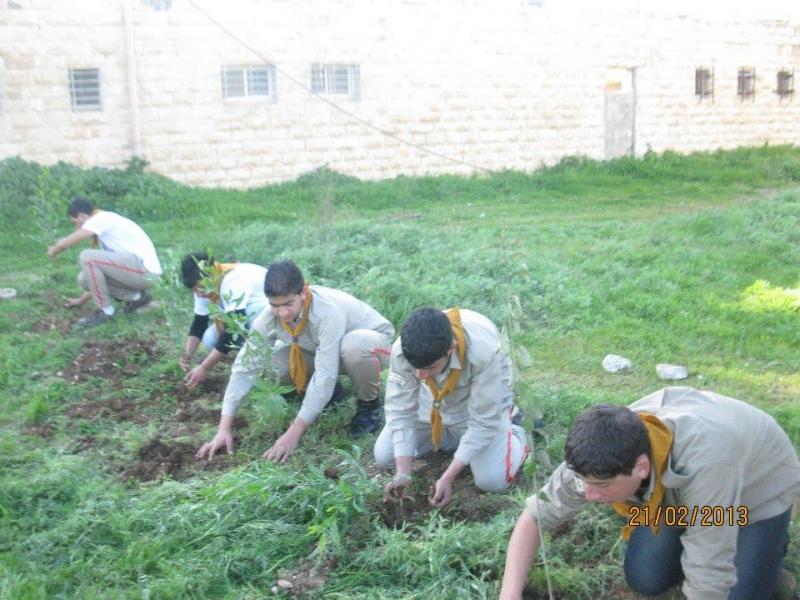 مئة وخمسون شجرة للأسرى .... مجموعة القادسية تتواصل مع برنامج رسل السلام