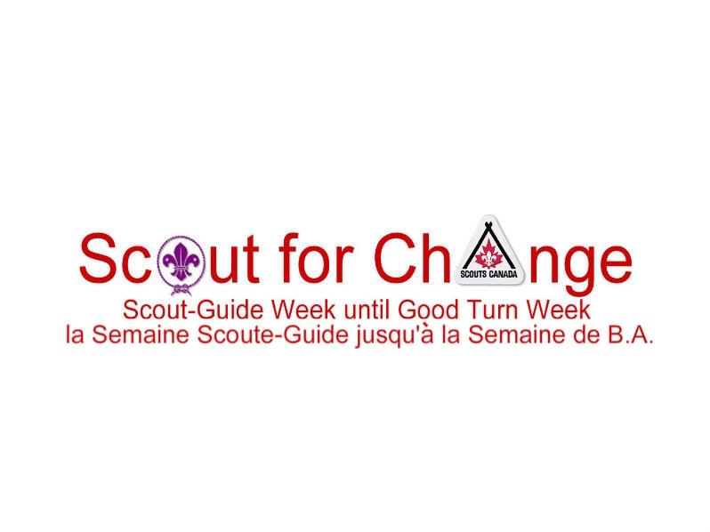 Scout For Change