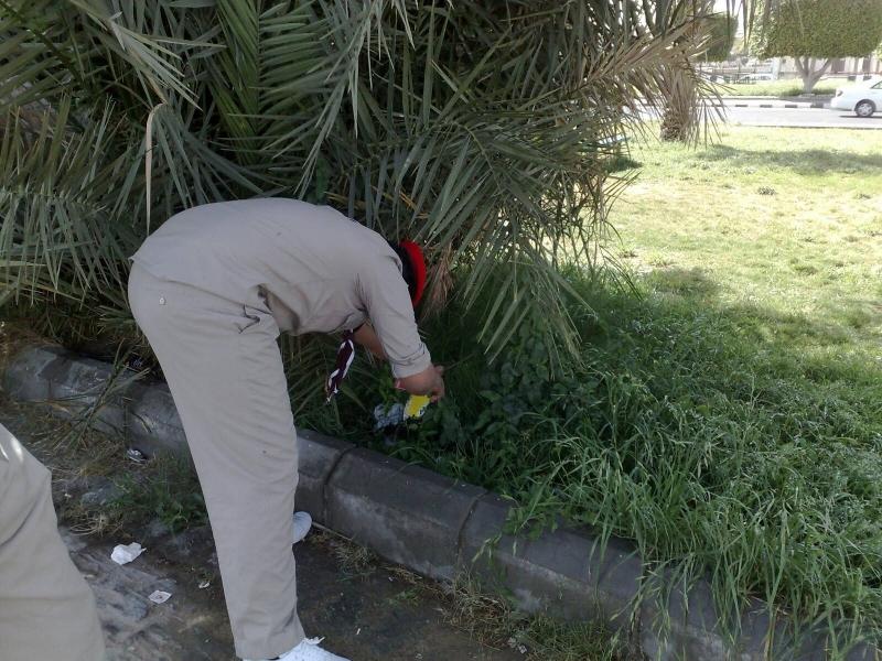 حماية البيئة