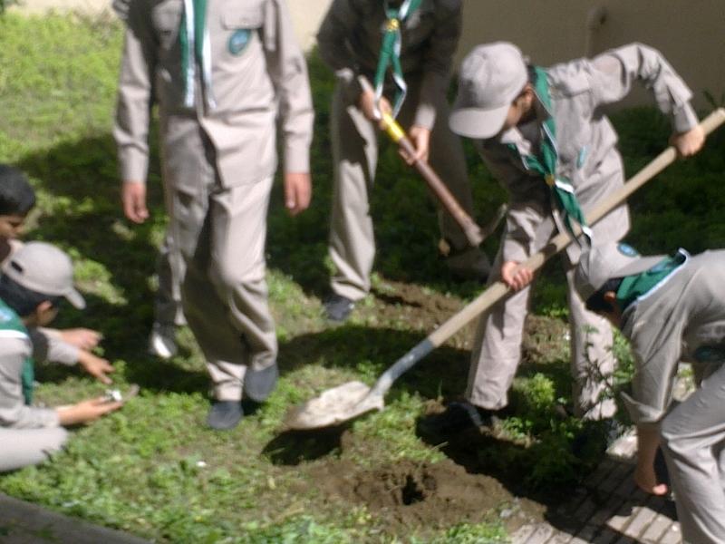 المشروع الكشفي لحماية البيئة