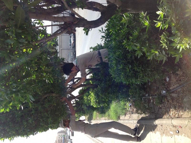 مشاركه كشافه الامام مالك الثانويه في مشروع البئه