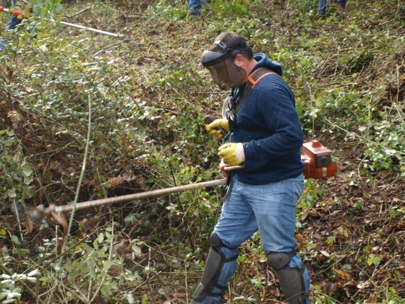 "1233 Almalaguês, in Movement"