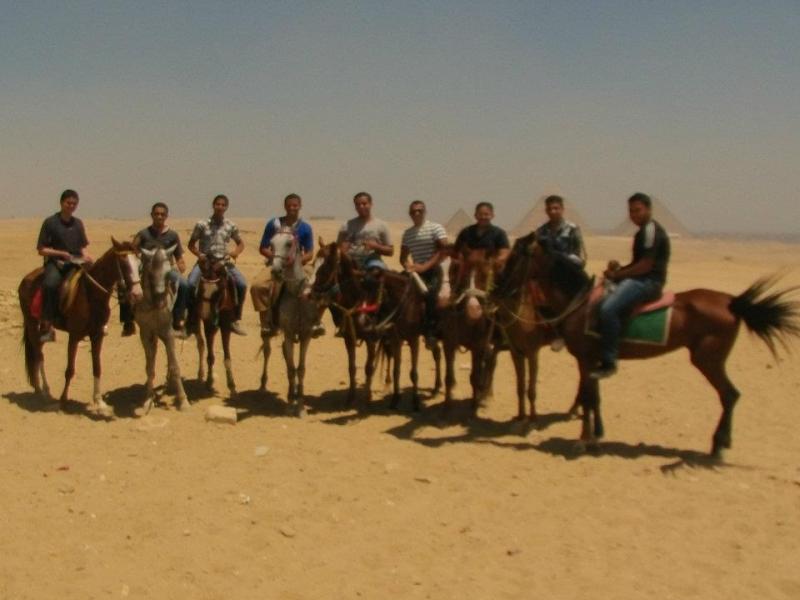 تدريب الكشافين على الفروسية .. Training scout boys equestrian