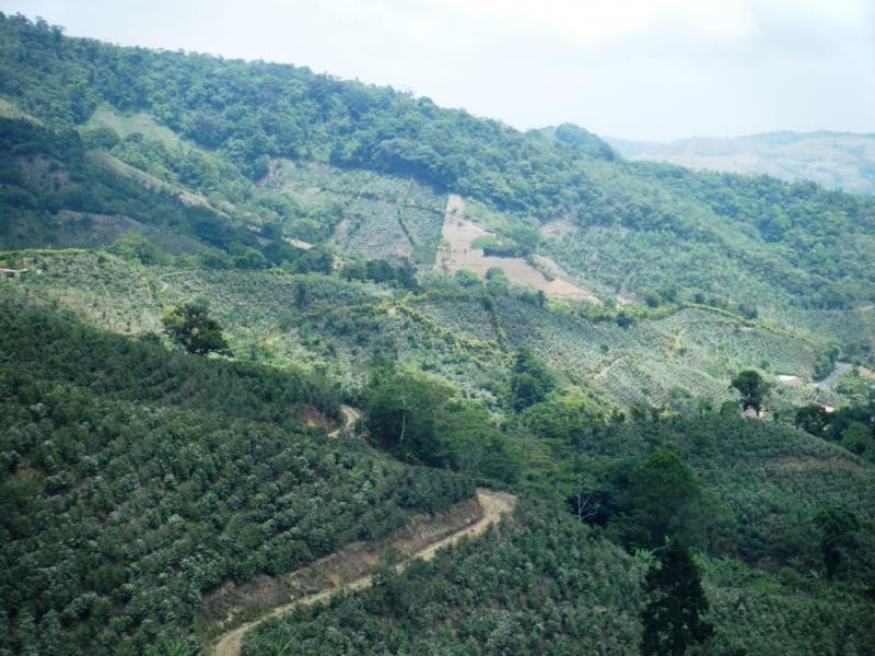 Dejando nuestra huella en los senderos de la ASADA Rincón de Zaragoza. 