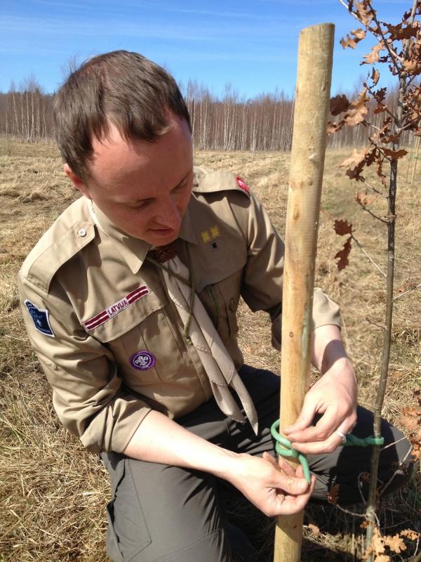 Continuing Latvian ancestor traditions, planting Poweroak Grove