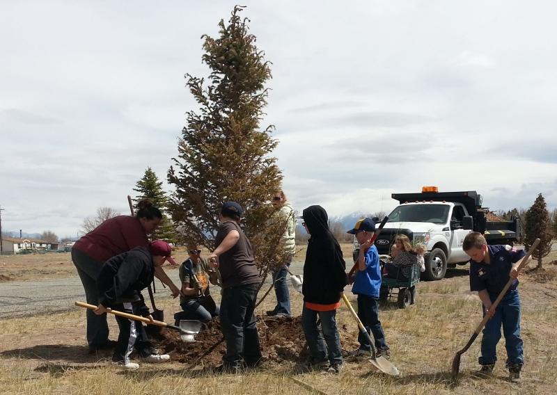 Tree basins for local cemetery