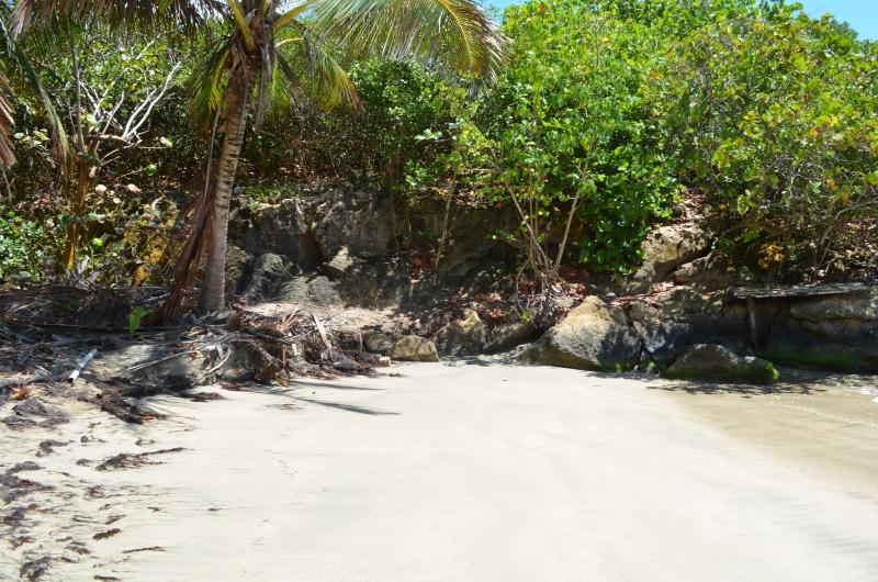 "LIMPIEZA A TODA COSTA"