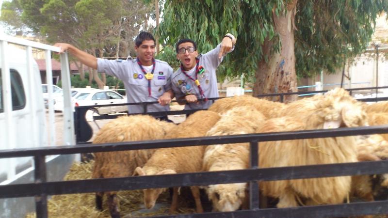 حملة توزيع الأضاحى للأسر المحتاجه بمدينة بنغازى .