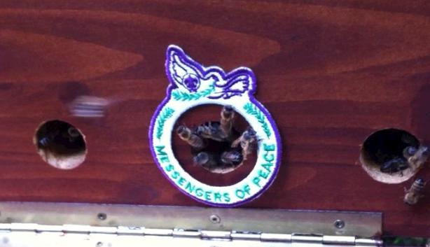 Beekeeping as a contribution to food security