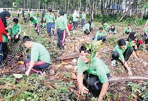 clean up the polluted beach in Malaysia