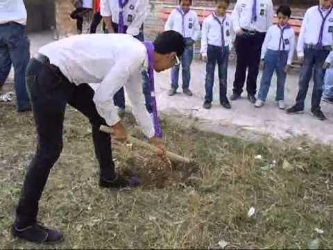 مشروع التشجير وتنظيف المركز