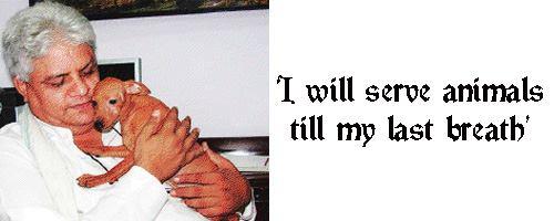 Animal can't be treated as Goods being living creature : Handlre them with respect - Abhishek Kadyan