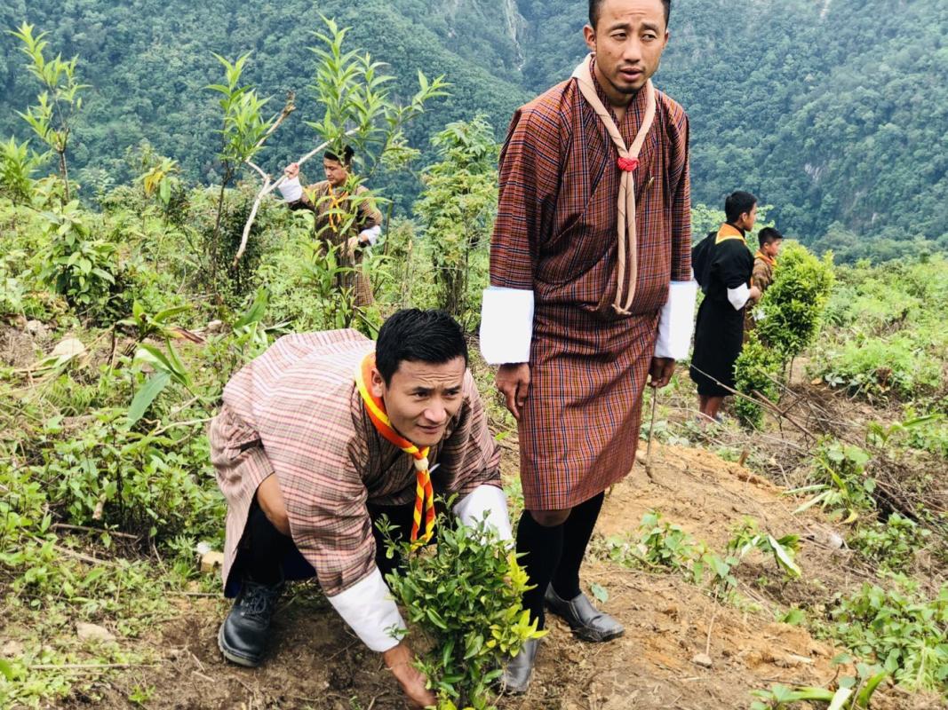 Social Forestry Day