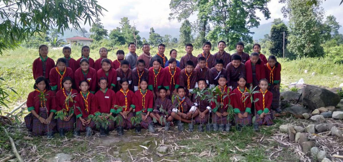 Go Green by planting trees