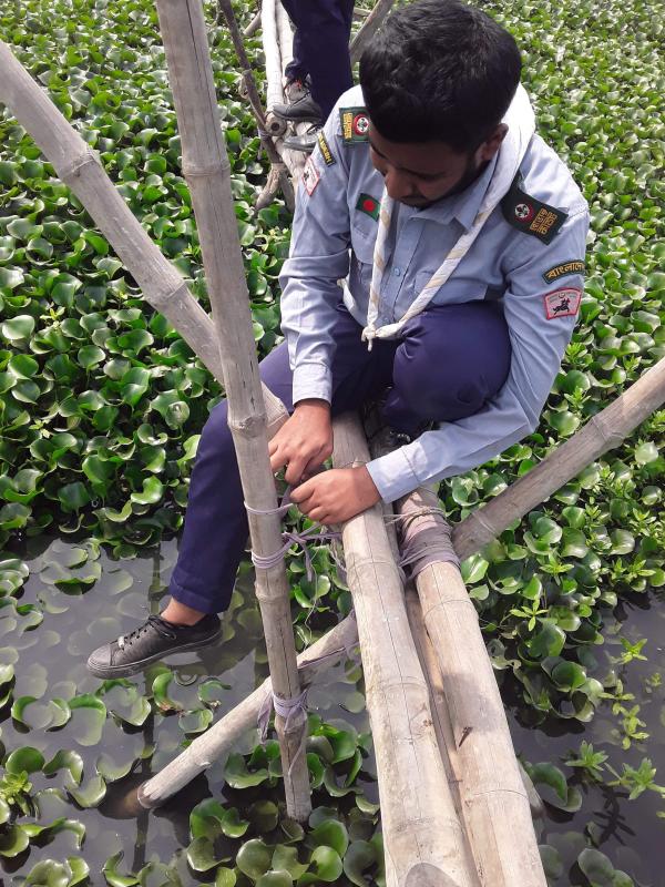 সাকু মেরামত 