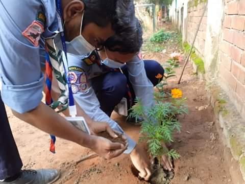 বৃক্ষ রোপন কর্মসূচি 