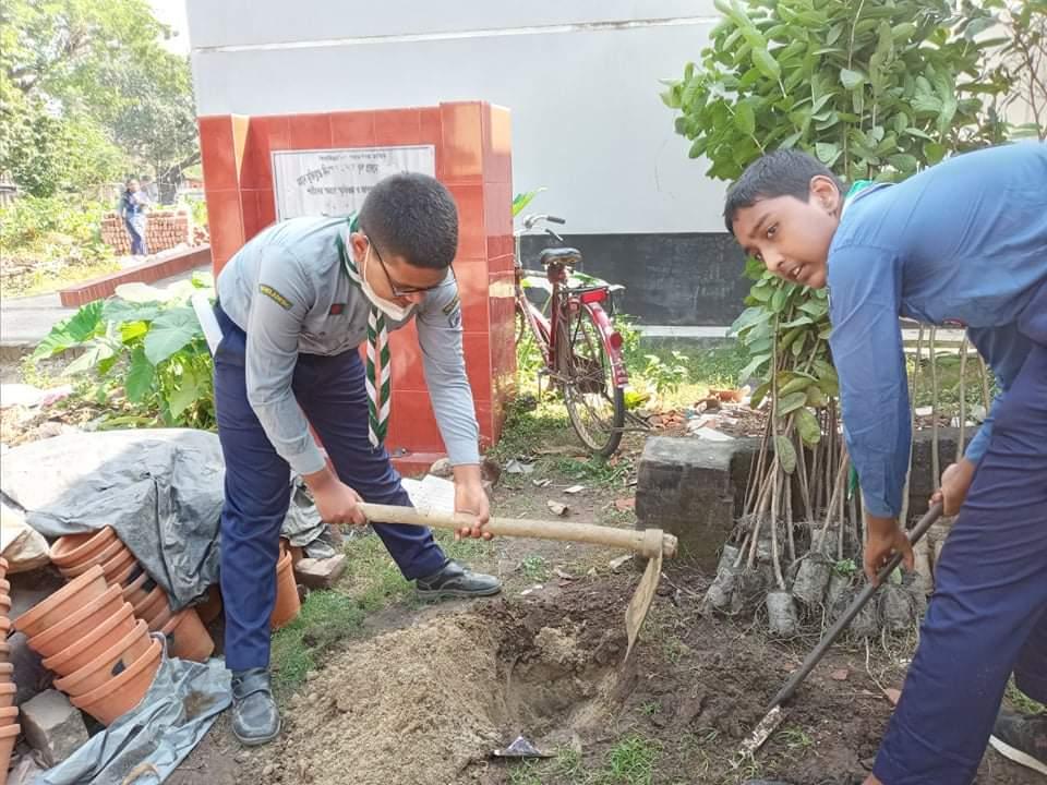 PLANTING TREE