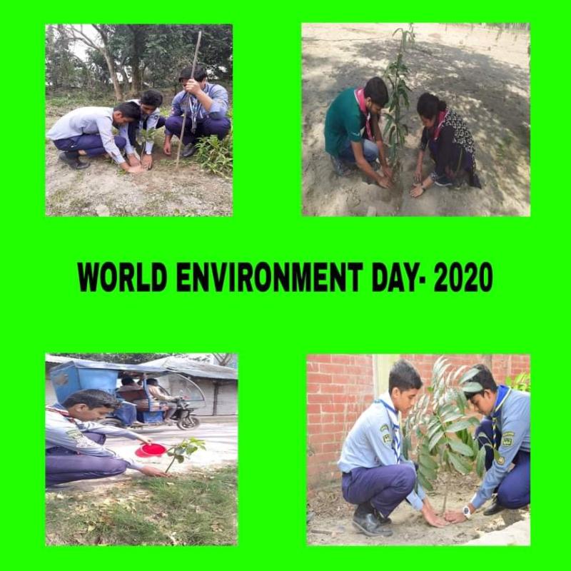 WORLD ENVIRONMENT DAY 2020