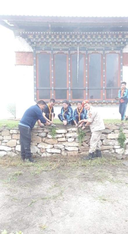 Garden maintenance 
