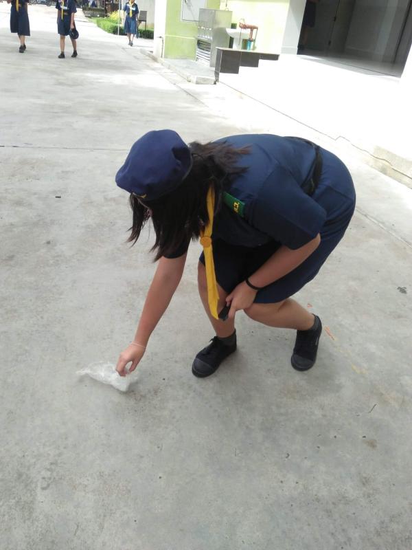 กิจกรรมเก็บขยะ