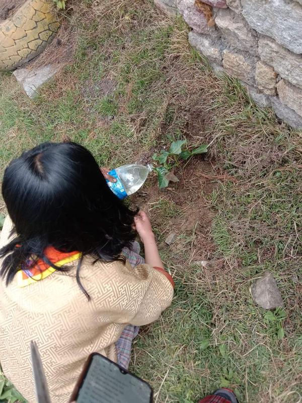 Tree plantation!