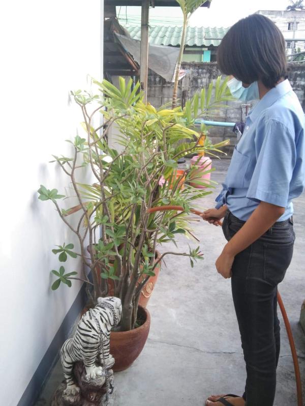 รดน้ำต้นไม้