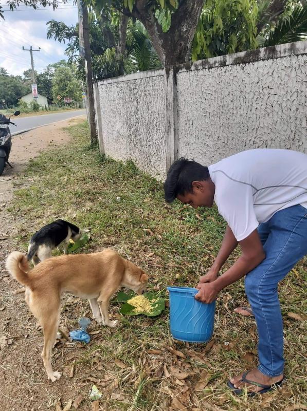 Giving food for street dogs World Scouting