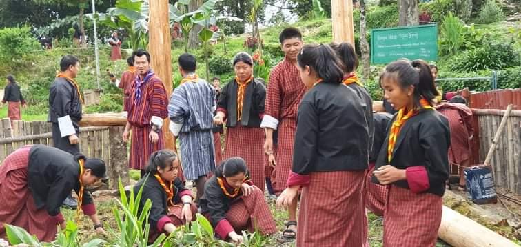 Scout interflower garden mantainence.