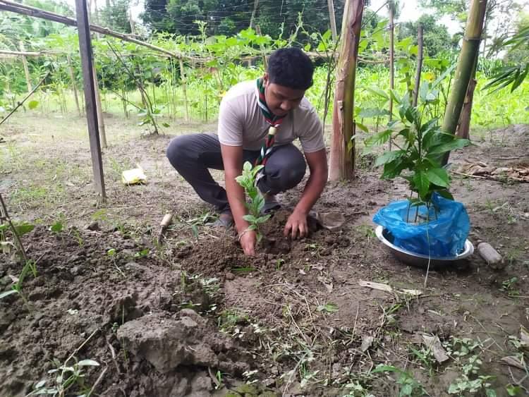 গাছ লাগাও পরিবেশ বাচাও