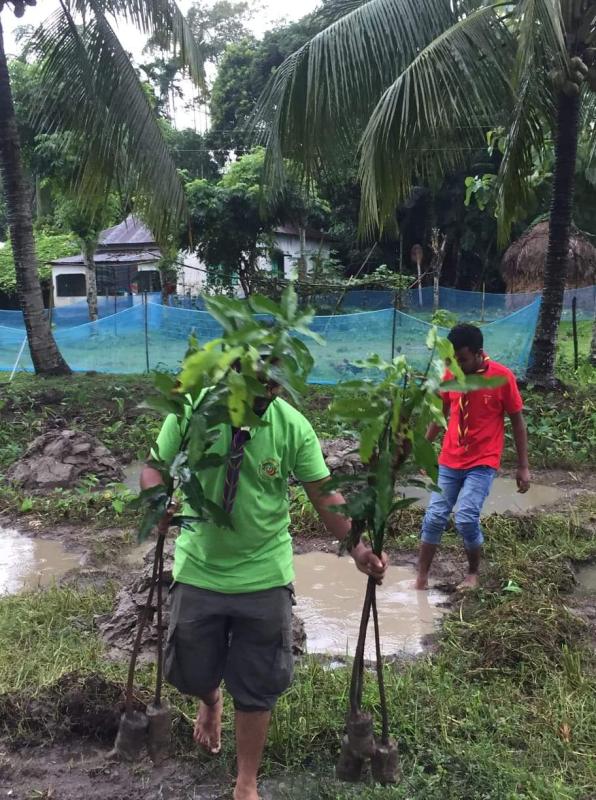 বৃক্ষ রুপন কর্মসূচি 