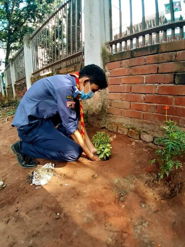 বৃক্ষরোপন কর্মসূচি