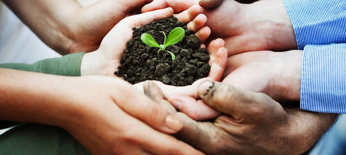 Six Months Community Development Project (Ensure Environmental Sustainibility)