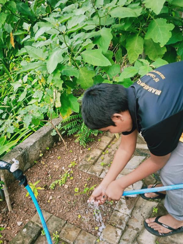 Making a compost bin and gardening