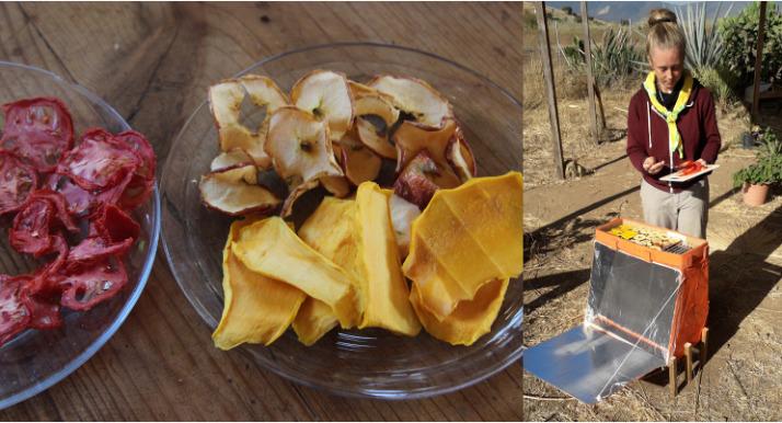 Food Drying
