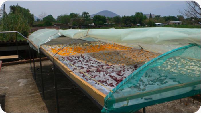 Dried Snacks