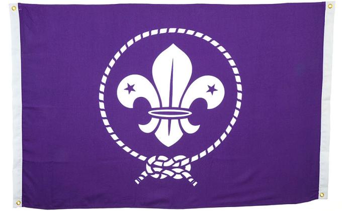 View our top 20 Bestsellers!